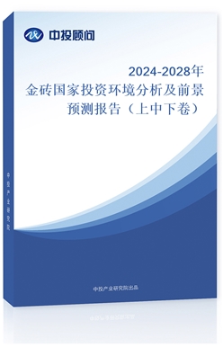 2024-2028שͶʻǰԤⱨ棨¾