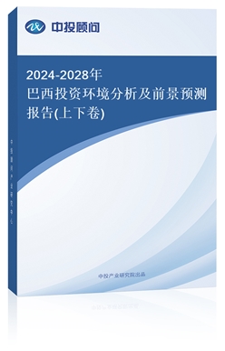 2024-2028ͶʻǰԤⱨ(¾)