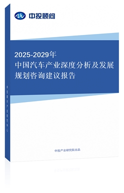 2024-2028йҵȷչ滮ѯ鱨