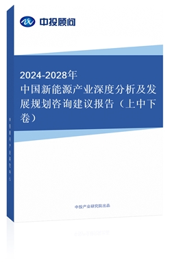 2024-2028йԴҵȷչ滮ѯ鱨棨¾