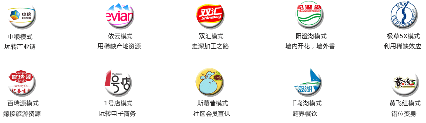 农业企业战略模式