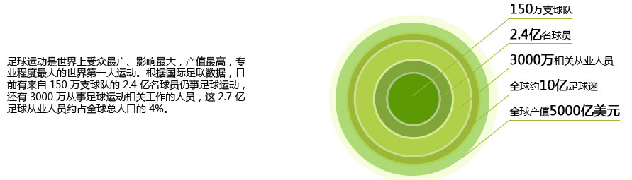 总体规模